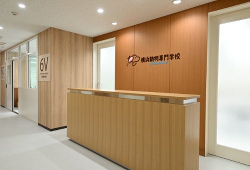 附属動物病院