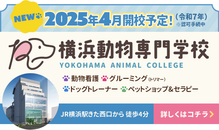 横浜動物専門学校 2025年4月開校予定